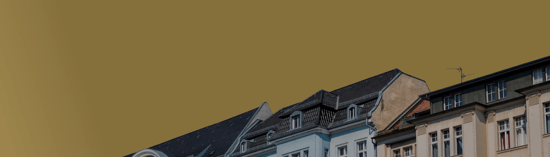 main image-1.png